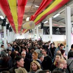 Festival Queijo, Pão e Vinho anima S. Gonçalo no fim-de-semana