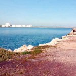 PS Barreiro toma posição sobre o novo terminal de contentores no Barreiro