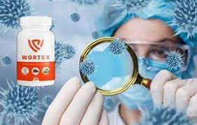 wortex-no-celeiro-em-infarmed-no-site-do-fabricante-onde-comprar-no-farmacia